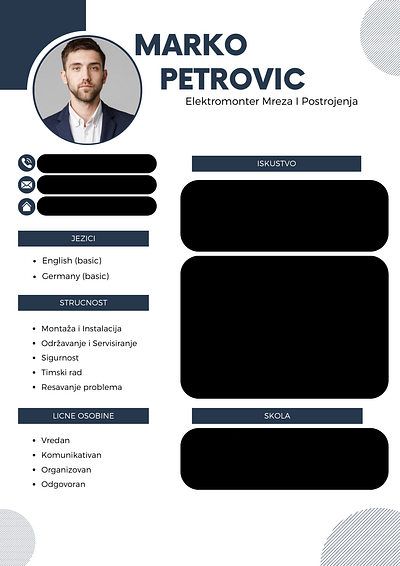 Professional CV cv profesionalcv