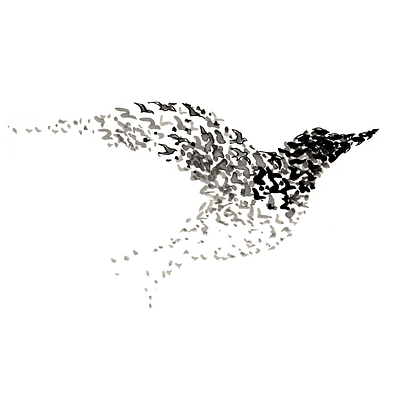 Bird of birds black and white drawing illustration minimalist pen and ink