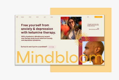 Mindbloom UX Flow ui ux web design