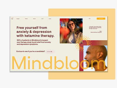 Mindbloom UX Flow ui ux web design