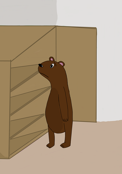 Cupboards are Bear animals bear childrens illustration childrens story digital art illustration story