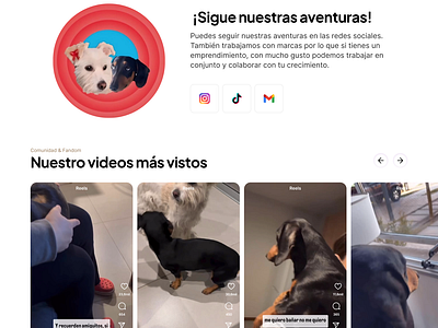 Responsive Dogs Landing Page digs fandom landing page uxui