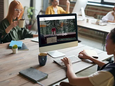 E-commerce Store Website divi storefront ui website design