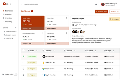 Digital Marketing Agency Tracking Dashboard product design ui