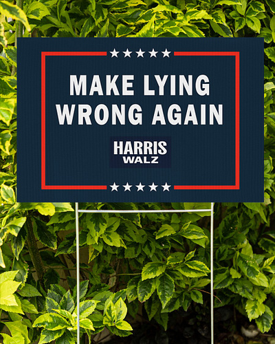 Make Lying Wrong Again branding graphic design illustration motion graphics