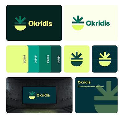 Okridis Branding agency branding design graphic design illustration logo ui ux