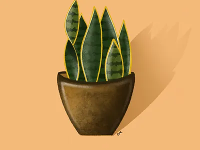 Home graphic design illustration