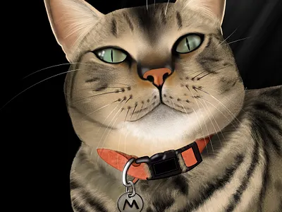 Cat (Mastilda) graphic design illustration