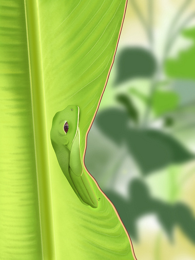 red-eyed treefrog graphic design illustration