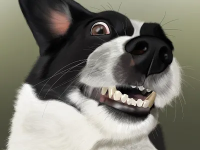 Happy dog (Pretinha) graphic design illustration