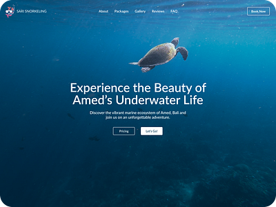 Sari Snorkeling Hero Section branding design development hero section logo photography ui ux