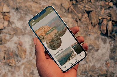 National Park Service App Concept app design branding graphic design uiux