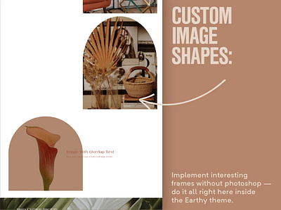 Earthy Neutral Boho Shopify Theme shopify competitors shopify customization shopify design shopify template shopify theme shopify theme store