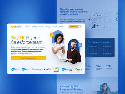 Salesforce page for Sumeru Inc. ui web design web designer