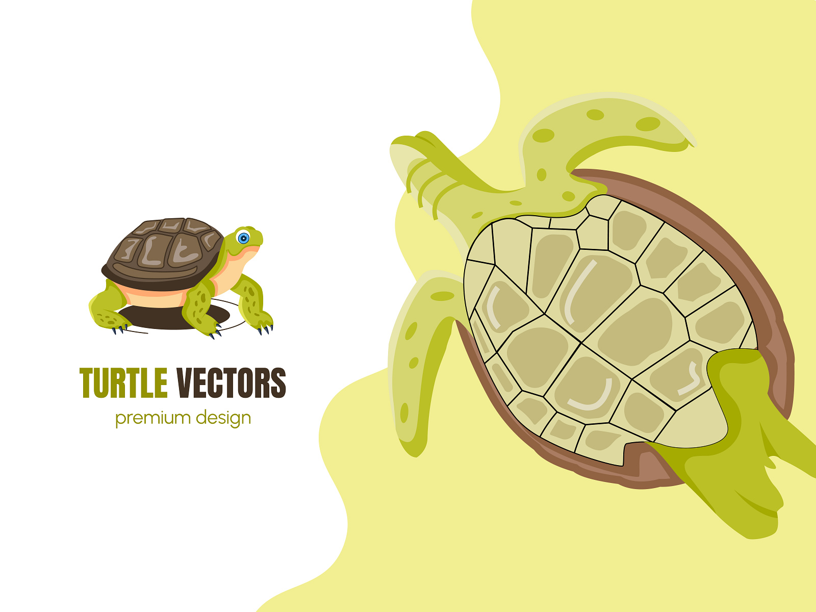 Turtle Vectors by Vectors Market on Dribbble