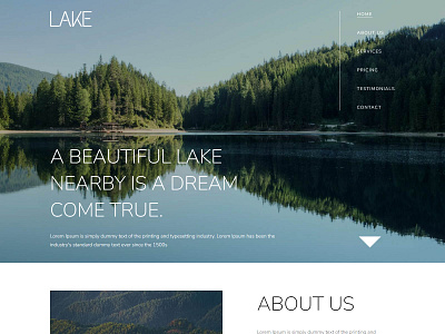 Lake ui ux ux design web design