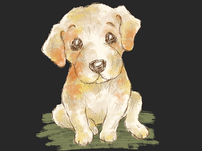 Labrador Retriever graffiti animal character dog illustration pet puppy