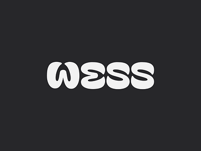 WESS: Branding & Logo Design apparel art direction brand branding fashion logo logo design logotype retail store