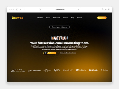 DripWise - Landing Page [Hero Section] branding business design graphic design hero section landing page logo ui ux vector web design