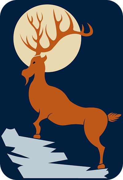 Deer Illustration graphic design illustartion logo