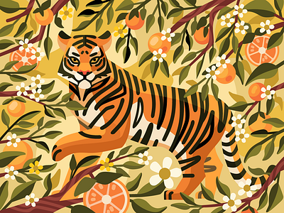 Citrus tiger citrus color coloring book digital art flower illustration orange tiger