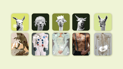 Choose a Llama - animation frame by frame animation llama photoshop