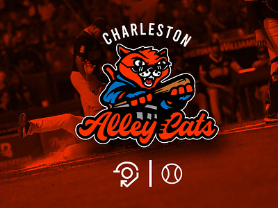 Charleston Alley Cats baseball branding cats charleston graphic design identity logo milb