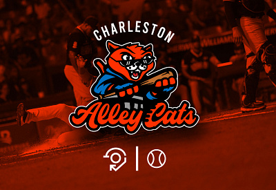 Charleston Alley Cats baseball branding cats charleston graphic design identity logo milb