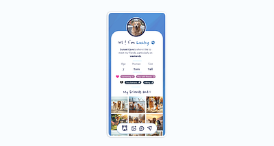 User Profile: DailyUI 006 animaux blue chien dailyui dailyui006 dailyui6 dog dog app dogfriends doglovers friends goldenretriever mobile pets app reseauxsociaux social socialdog socialmedia ui userprofile