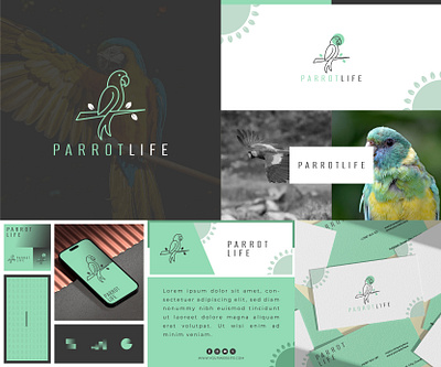 Elevating Parrot Conservation brand identity brandidentity branding brandingdesign business design graphic design illustration line line art logo logo design logobrand logoconcept logodesinger logoinspirations logos logotype minimal minimalist