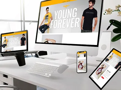 Shopify Web restructure and design shopify shopify store ui website design