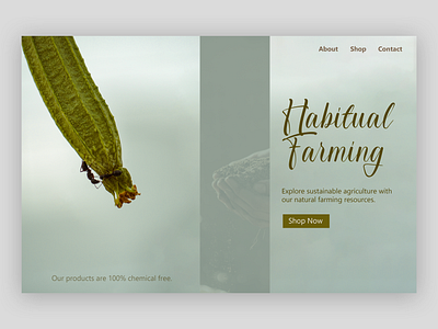 Habitual Farming - Website mockup app branding design graphic design landing page mockup uiux web design