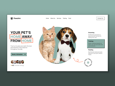 Pawsinn — Pet Grooming Website pet grooming pet grooming website pet shop pet website trending design