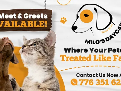 Meet & Greets AVAILABLE! ad advertising banner branding cover design graphic design social media