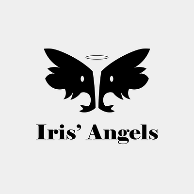 Iris Angels branding graphic design logo ui web design wordpress