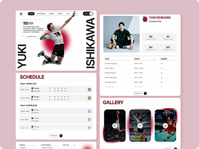 Concept of the landing page about Yuki Ishikawa bio biography figma home page inspiration interface japan japanese landing page person page sport ui ux visual design volleyball website