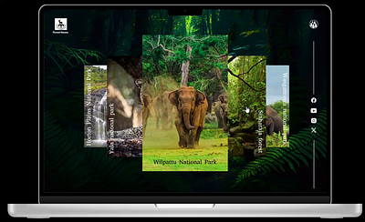 Discover the Wilderness of Forest animation forest website landing page ui ui design