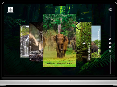 Discover the Wilderness of Forest animation forest website landing page ui ui design