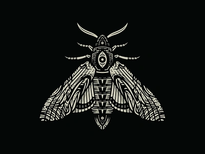 Moth adobe adobe illustrator cosmic creative death deathheadmoth entomology graphic design hawk moth illustration insect moth vector wings