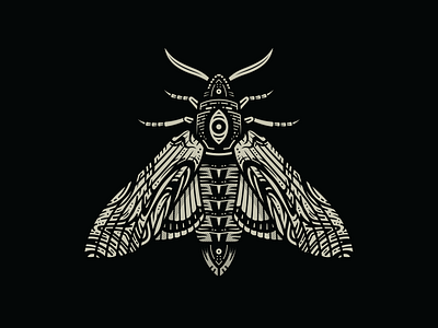 Moth adobe adobe illustrator cosmic creative death deathheadmoth entomology graphic design hawk moth illustration insect moth vector wings