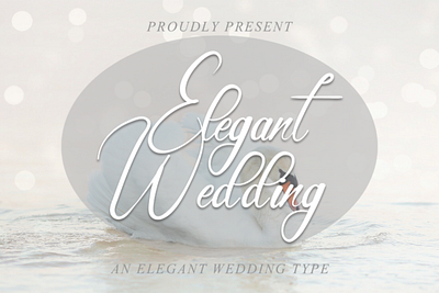 Elegant Wedding Font card design font handwritten font invitation font lovely font trendy font wedding girly luxury website