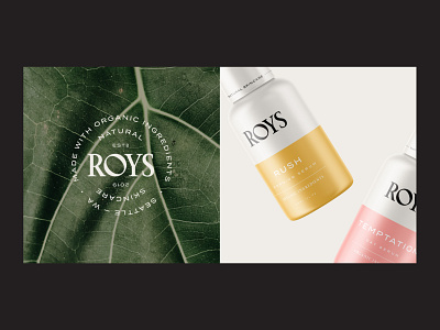 Roys Branding and Packaging Design - Skincare 3d animation beauty body care brand identity branding comsetic cosmetics design emblem graphic design hair care illustration label logo motion graphics packaging skin care skincare ui