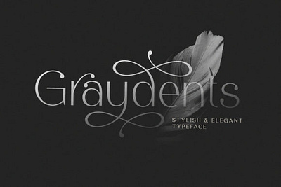 Graydents Font attractive feminine logo masculine women