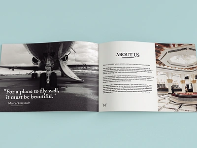 Plane Bifold bifold branding brochure design flyer graphic design social media vector