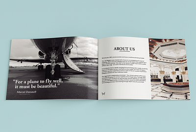 Plane Bifold bifold branding brochure design flyer graphic design social media vector