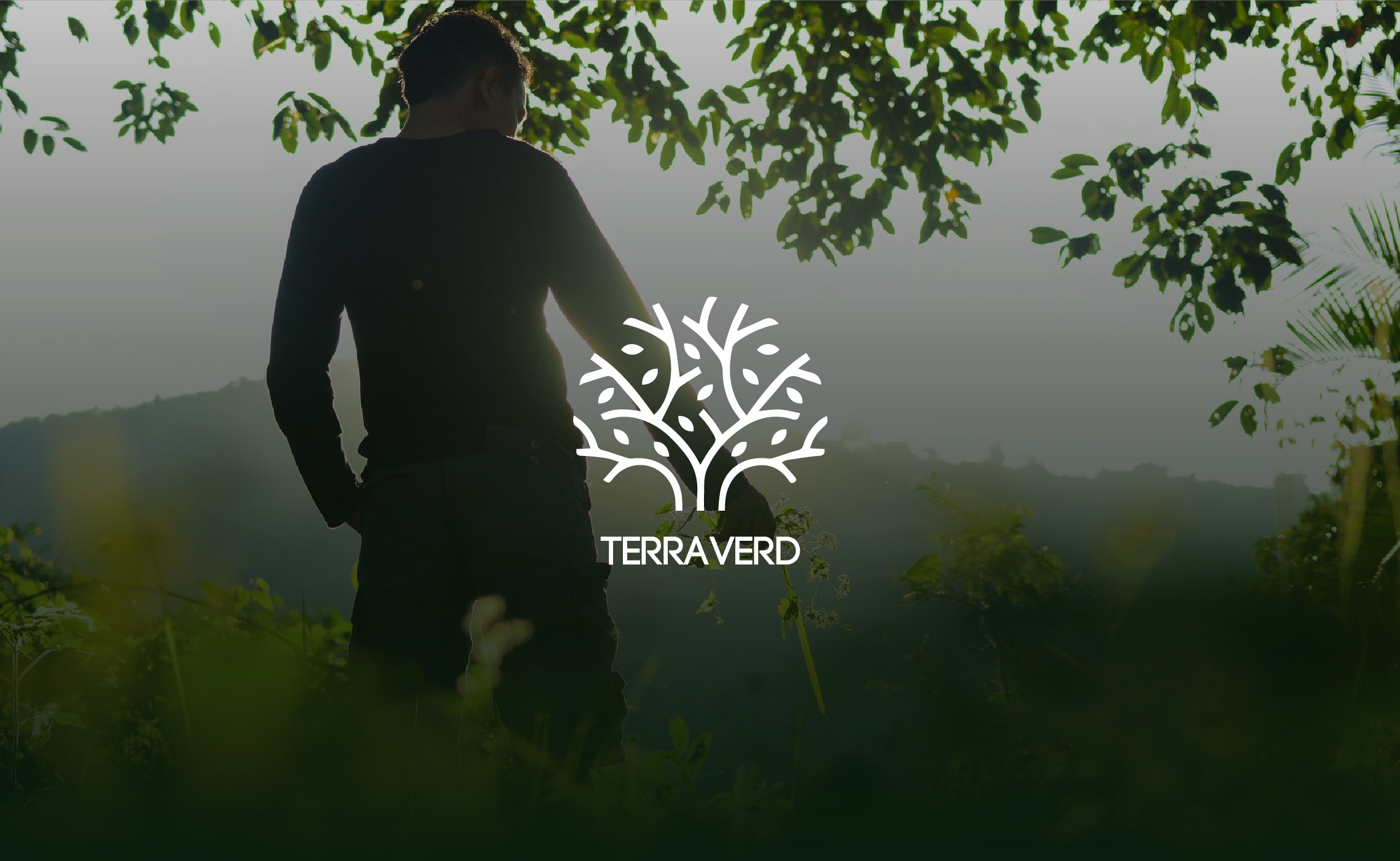 Terra Verd Branding brand brand identity branding design graphic design identity logo logo design logo identity vector