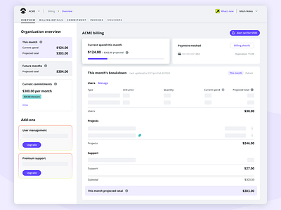 Organization Billing billing dashboard