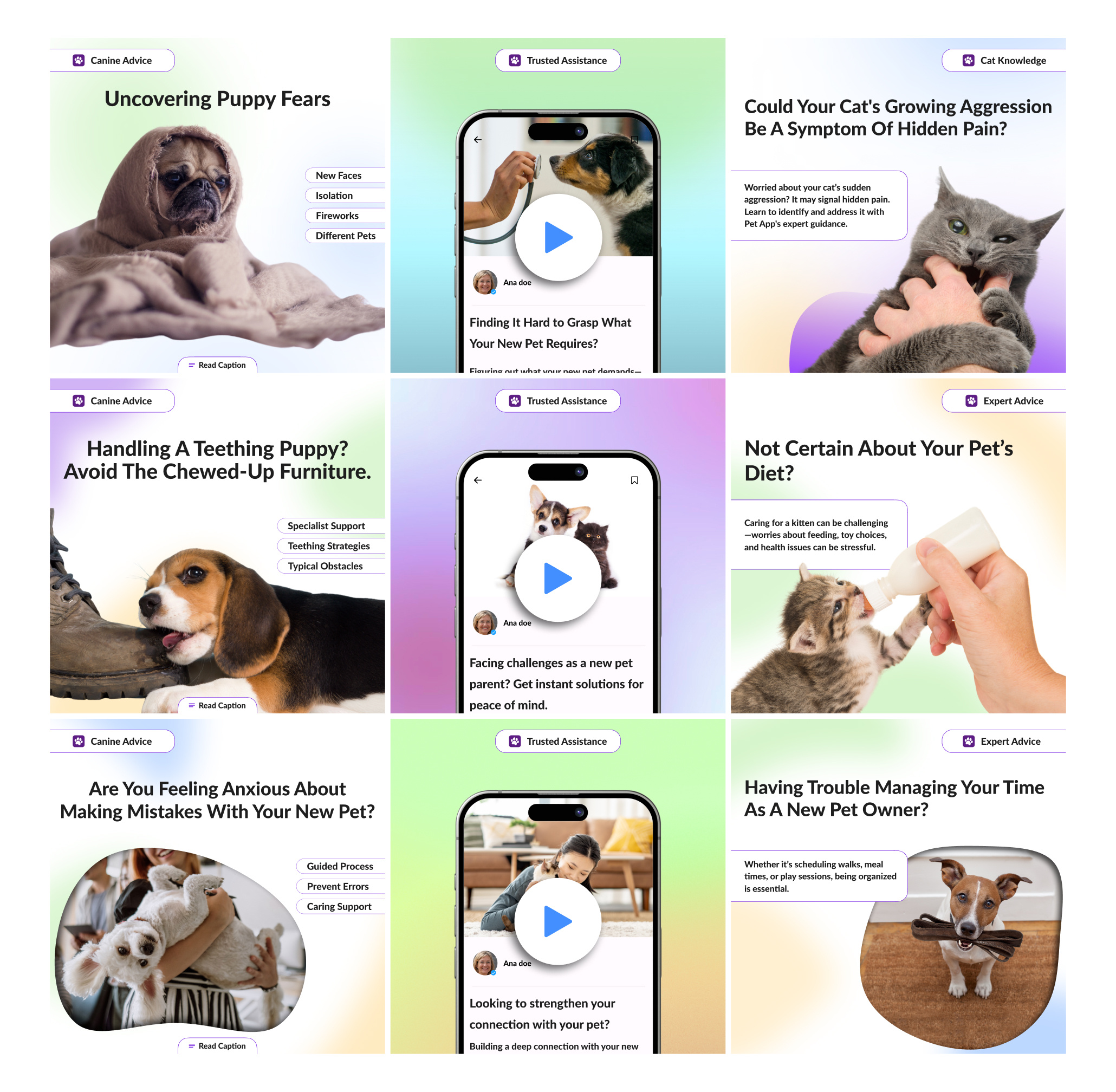 Social Media pet sitter