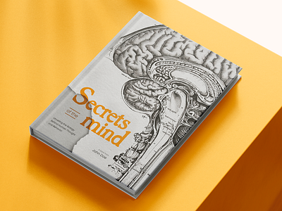 Book Cover Design 'Secrets of the mind' advertising art book book cover bookcover branding business cover design drawing graphic design hardcover illustration personal photoshop professional typography