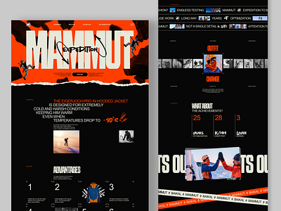 Mammut Expedition Website design appdesign behance branding design designer designinspiration dribbble graphicdesign illustration interface logo ui uidesign uiux userexperience userinterface ux uxdesign webdesign webdesigner